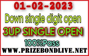 Thai Lottery Down Single Digit 100% Open Number 01.02.2023