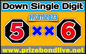 Thai Lottery Single Digit Chart Root Total Win Digit None Miss 17/01/2023