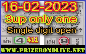 Thai Lottery 100% Sure Single Digit Open Tips 16/2/2023