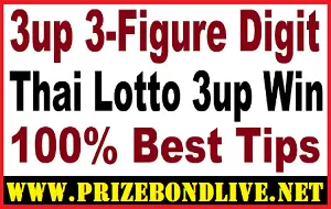 Thai Lottery 3-Figure Digit 99.99% Best Win Tips 16.02.2023