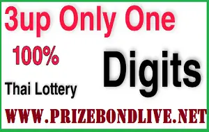 Thai Lottery 3up Only One Digit 100% Sure Tips 01/03/2023