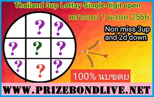 Thailand 3up Lottery Single Digit 2 Down Full Game 01/03/2566