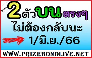 Thailand Lottery VIP Single Set Formula and Down Hit Total Paper 01/06/2566