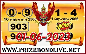 Thailand Lottery VIP Tips King Result Sure Win 1st June 2566
