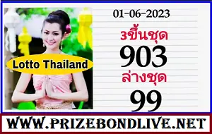 Thailand Lotto Pair Total Set 100% Sure Number 01-06-2023