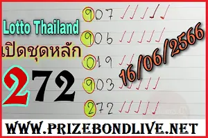 Thailand Lottery HTF Cut Digit 3D Only Down Number 16/06/2566
