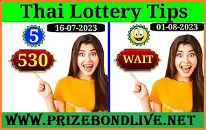 Thailand Lottery Vip Tips Total Sure Down Game 1st August 2023